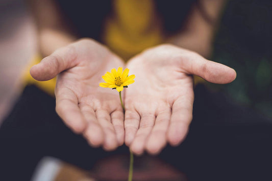 Journaling for Grief: A Gentle Way to Honour Loss