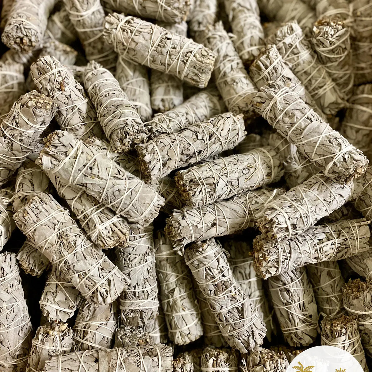 Organic California White Sage Smudge Stick – Hand-Harvested, Sun-Dried, Ritual Grade.